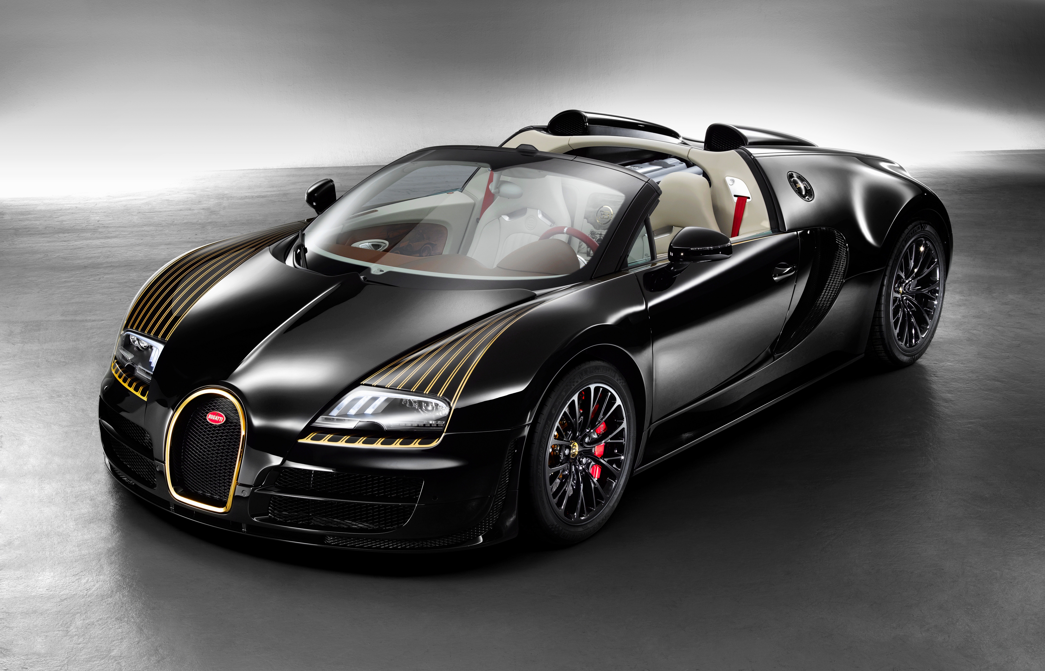 Bugatti Veyron Vitesse Legend Black Bess 2014