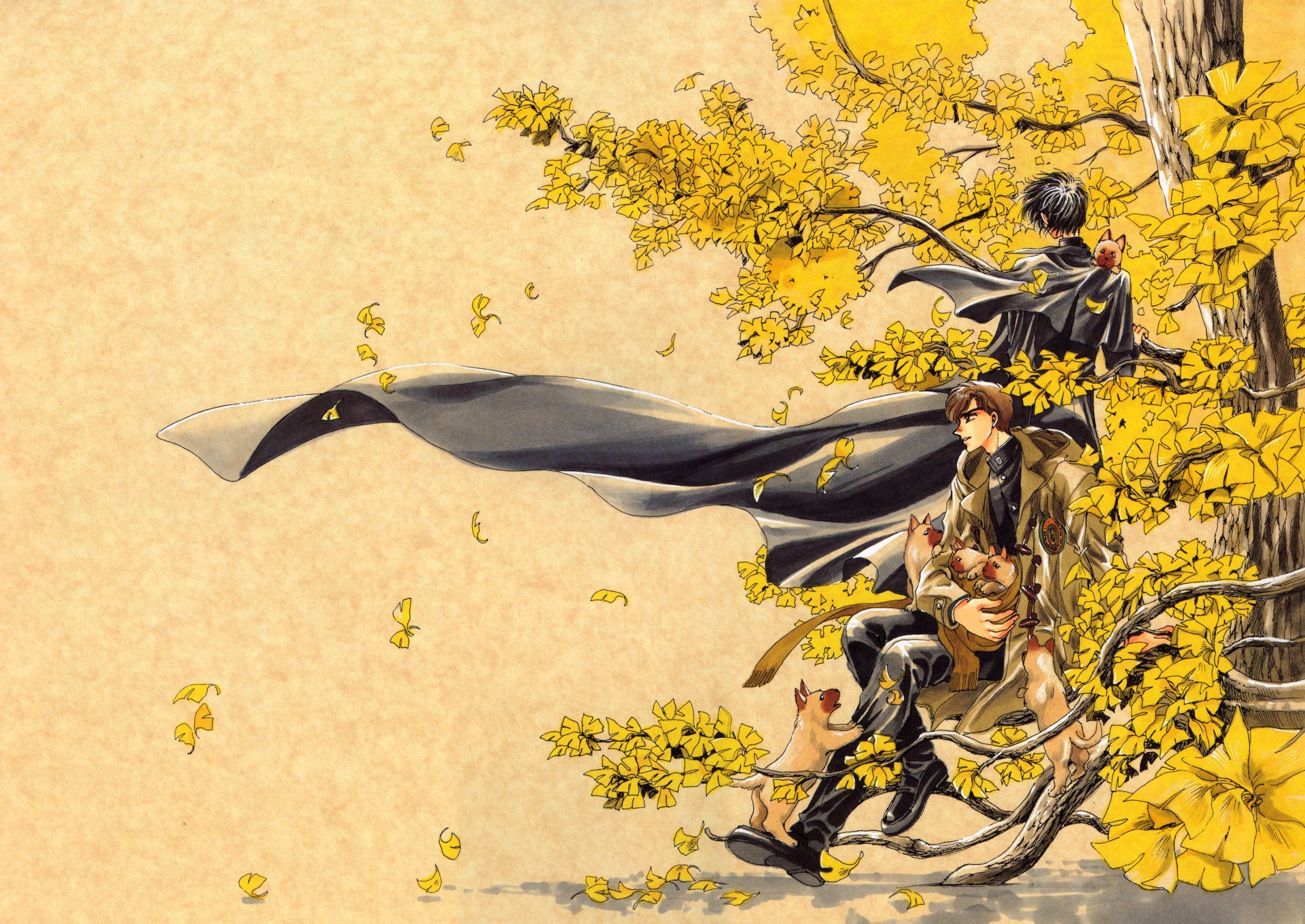 HD PC desktop wallpaper featuring Saiki Daisuke and Kamui Shirō from the anime X/1999, set against a backdrop of golden autumn leaves on tree branches.