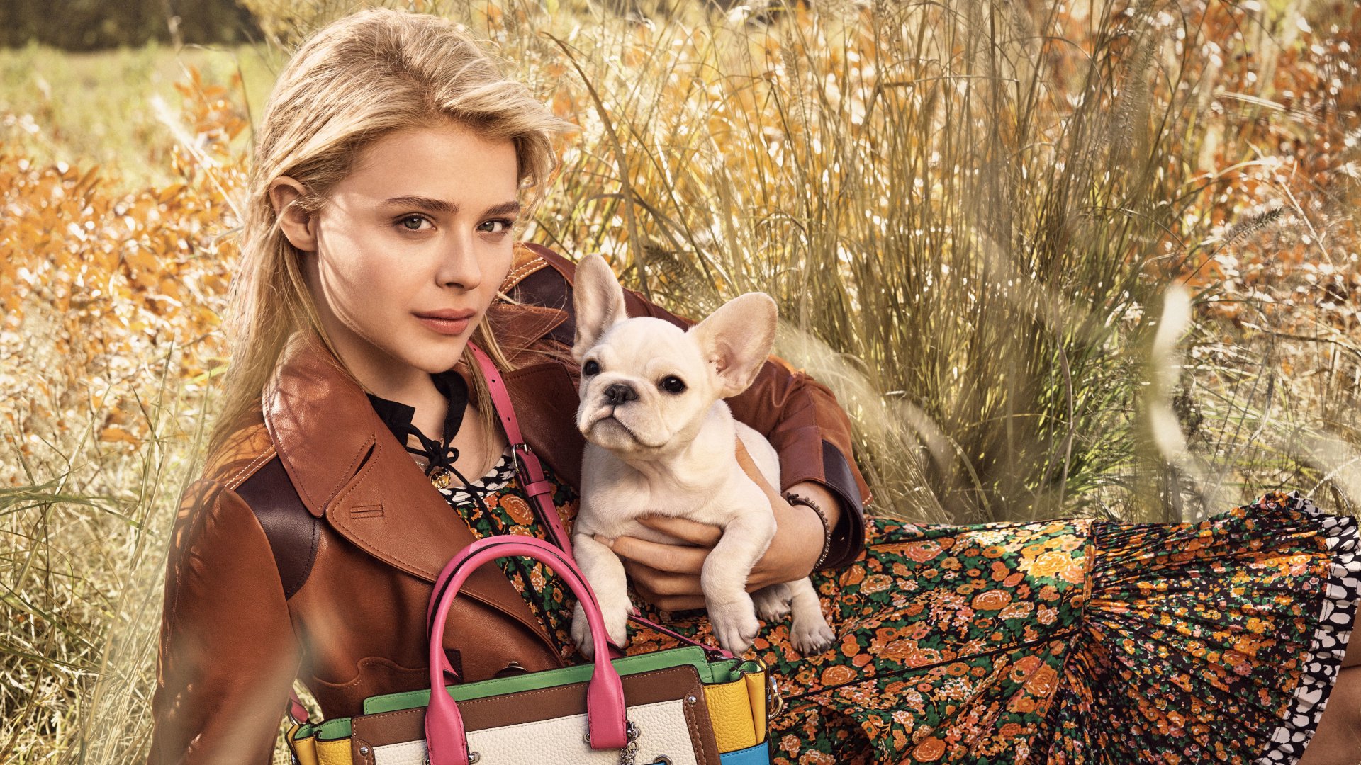 Chloë Grace Moretz, a blonde actress with brown eyes, poses outdoors holding a small dog and a colorful handbag in this 4K Ultra HD desktop wallpaper.