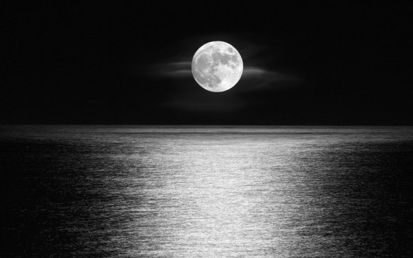 Earth Moon Ocean Horizon Moonlight Black & White HD Wallpaper | Background Image