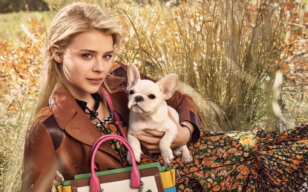 Celebrity Chloë Grace Moretz Actresses United States Actress Blonde Brown Eyes Dog Pet Handbag HD Wallpaper | Background Image