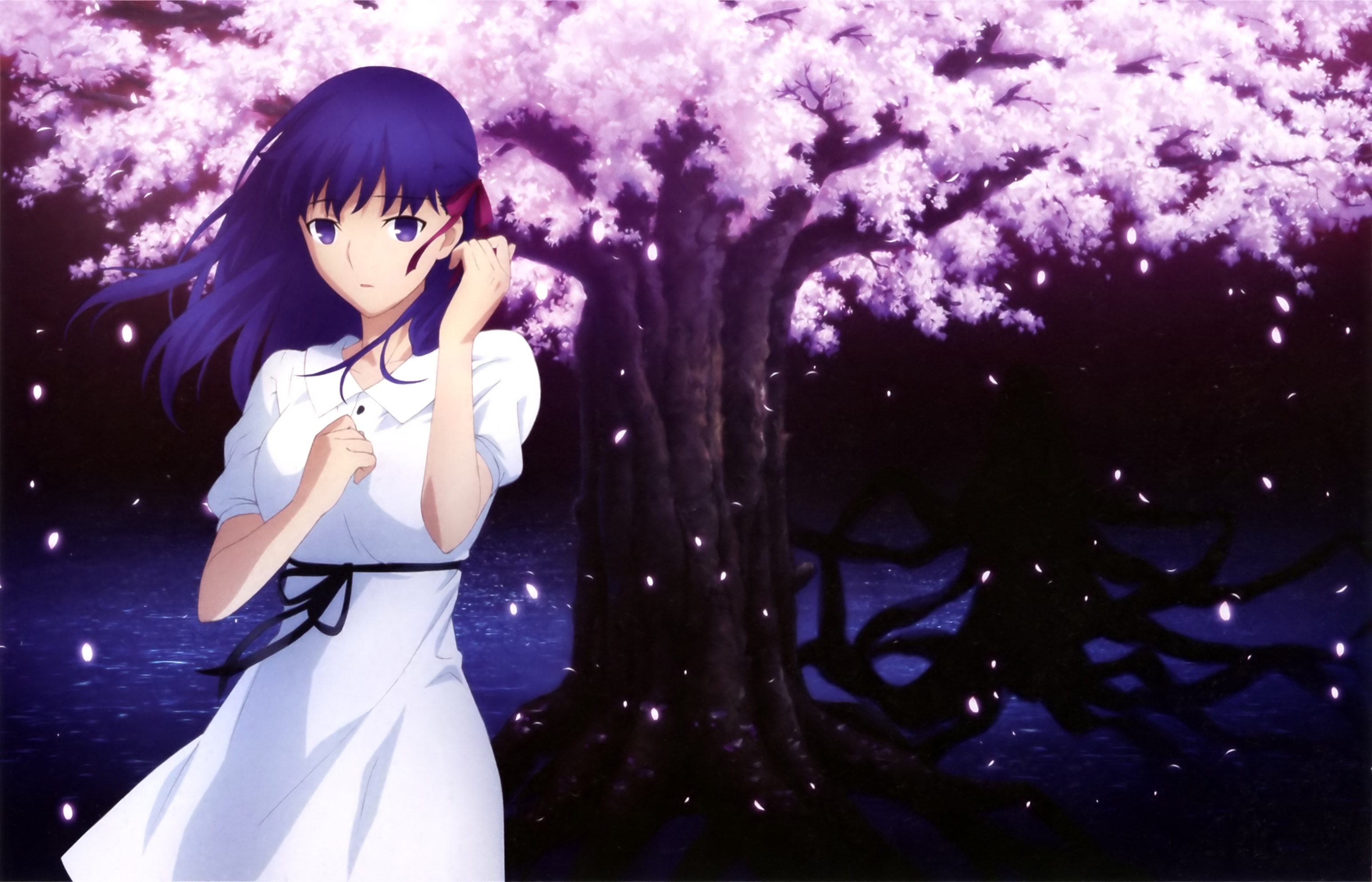 Anime Fate/stay Night Movie: Heaven's Feel HD Wallpaper | Background Image