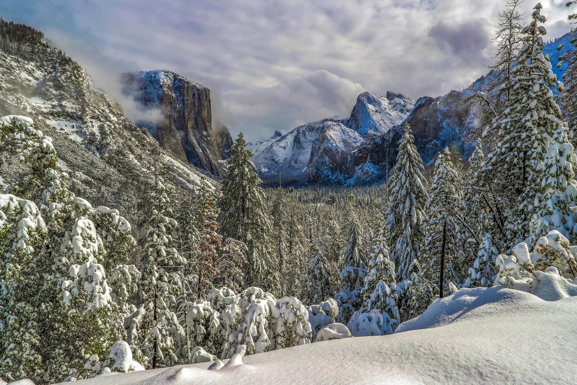 Snow-covered forest and mountains under a cloudy sky at Yosemite National Park, showcasing a serene winter landscape.