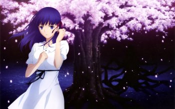 56 Fate Stay Night Movie Heaven S Feel Hd Wallpapers Background Images Wallpaper Abyss