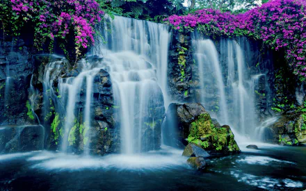 HD PC desktop wallpaper: Hawaiian waterfall framed by cascading purple flowers and lush greenery, water flowing over dark volcanic rocks into a tranquil pool.