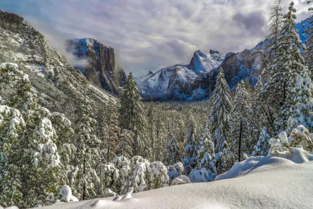 Snow-covered forest and mountains under a cloudy sky at Yosemite National Park, showcasing a serene winter landscape.