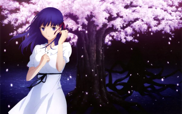 Sakura Matou Anime Fate/stay Night Movie: Heaven's Feel HD Desktop Wallpaper | Background Image