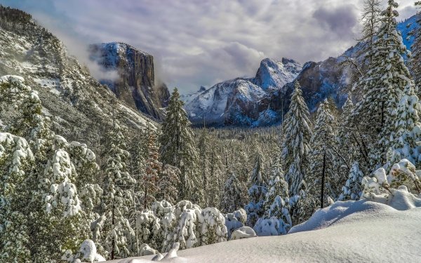 Earth Yosemite National Park National Park Winter Nature Landscape Snow Cloud Mountain Forest HD Wallpaper | Background Image