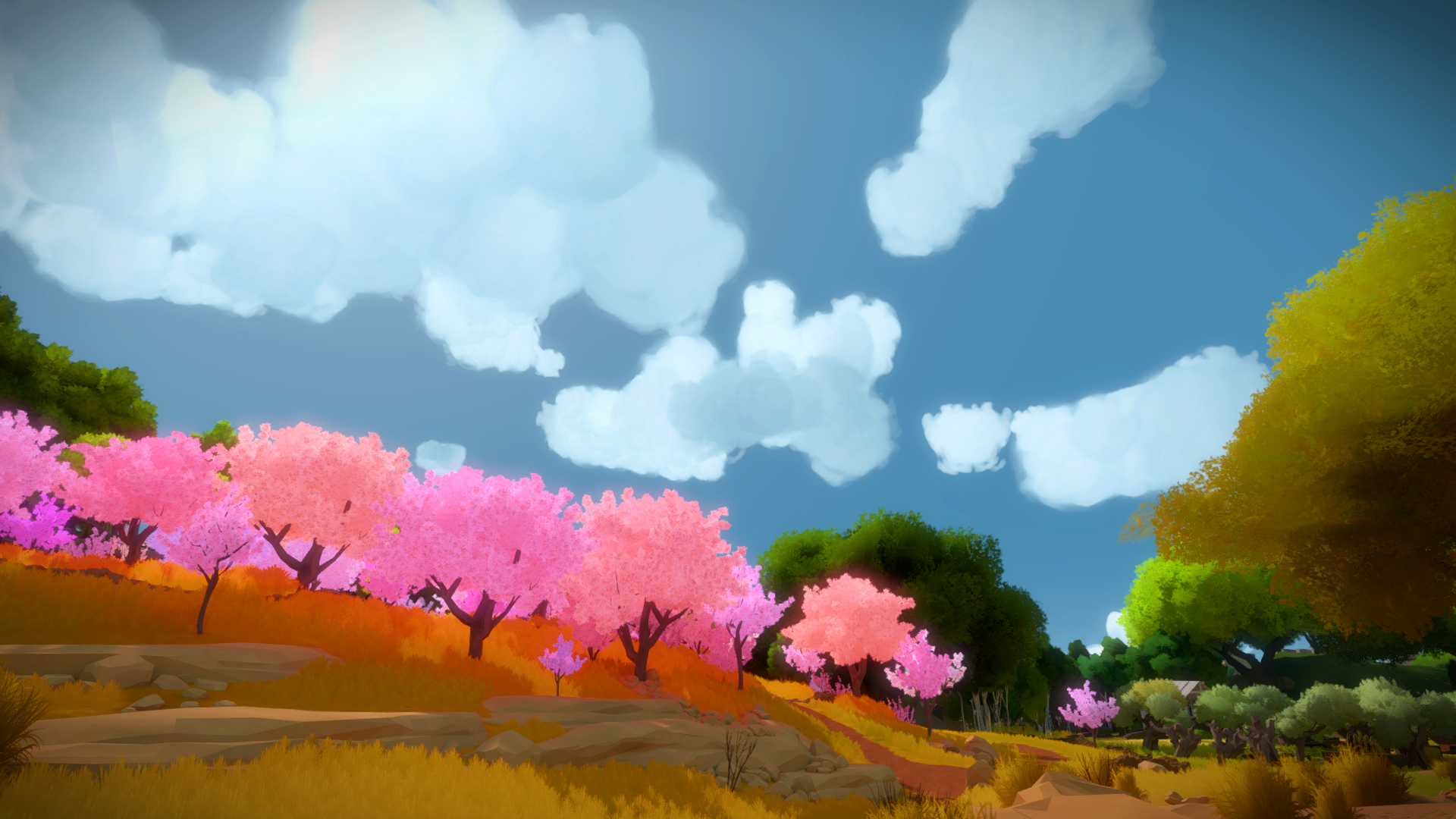 Download Video Game The Witness HD Wallpaper