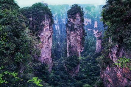 HD PC desktop wallpaper of dramatic cliff pillars and lush forest in China, towering karst peaks rising through mist as a scenic nature background.