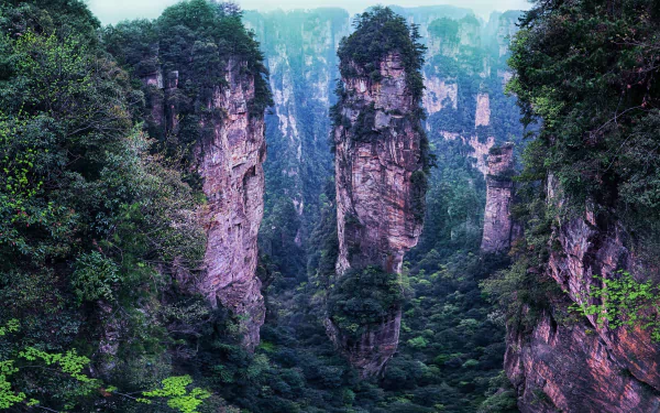 HD PC desktop wallpaper of dramatic cliff pillars and lush forest in China, towering karst peaks rising through mist as a scenic nature background.