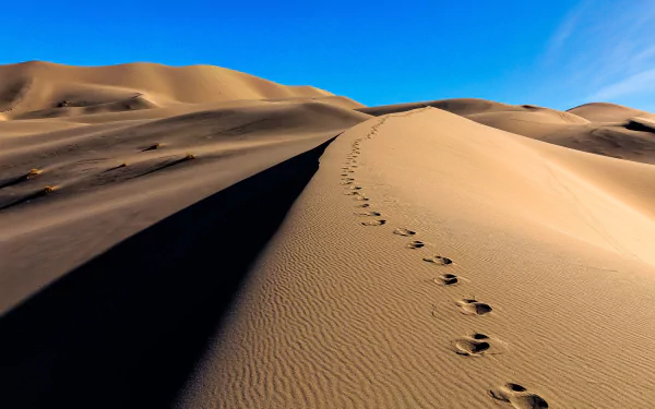 footprint sand dune sand nature desert HD Desktop Wallpaper | Background Image