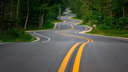 HD desktop wallpaper featuring a winding man-made road surrounded by dense green forest, showcasing smooth asphalt and vibrant yellow road markings.