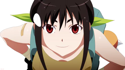  Mayoi Hachikuji - Monogatari (Series)