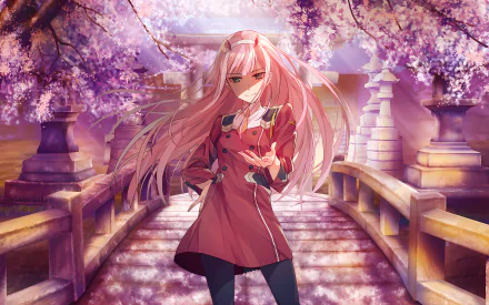 HD desktop wallpaper featuring Zero Two from Darling in the FranXX, standing on a bridge surrounded by sakura blossoms. She has pink hair and horns, adding a striking look to the anime scene.