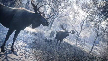  TheHunter: Call of the Wild / Welcome to the Moose Meeting