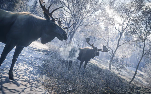  TheHunter: Call of the Wild / Welcome to the Moose Meeting