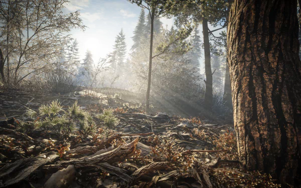  TheHunter: Call of the Wild / On The Ground