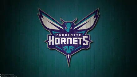  Charlotte Hornets Basketball Team by Michael Tipton