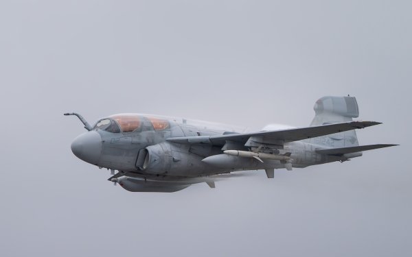 Military Northrop Grumman EA-6B Prowler Jet Fighters Jet Fighter Aircraft Warplane HD Wallpaper | Background Image