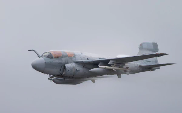 HD desktop wallpaper background showing a Northrop Grumman EA-6B Prowler military jet fighter aircraft/warplane flying against a pale gray sky.
