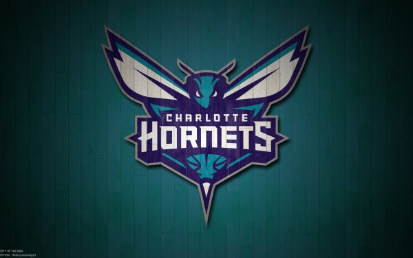 Sports Charlotte Hornets Basketball HD Wallpaper | Background Image