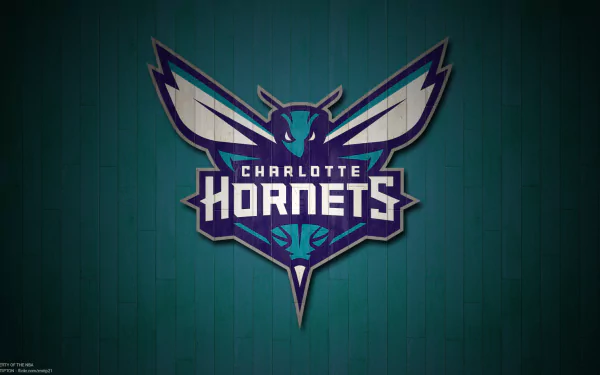  Charlotte Hornets Basketball Team by Michael Tipton