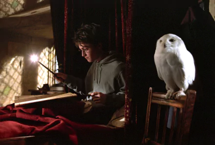 HD PC desktop wallpaper featuring a scene from Harry Potter and the Prisoner of Azkaban, showing Harry Potter casting a spell with his snowy owl nearby.