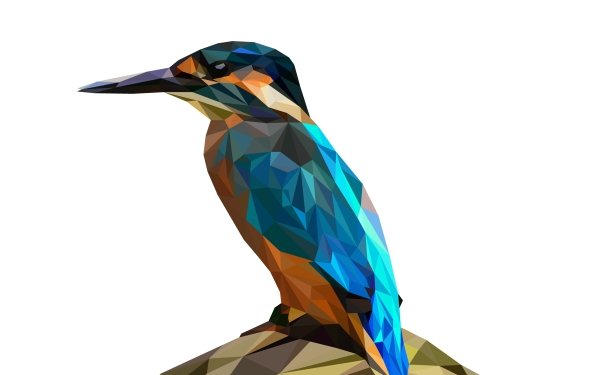Abstract Facets Kingfisher Bird Low Poly Polygon HD Wallpaper | Background Image
