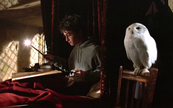 Harry Potter movie Harry Potter and the Prisoner of Azkaban HD Desktop Wallpaper | Background Image