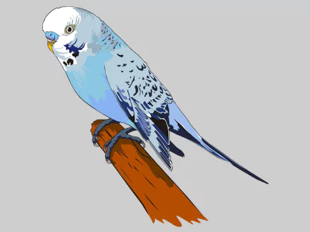  Blue Budgerigar by Francis Ray