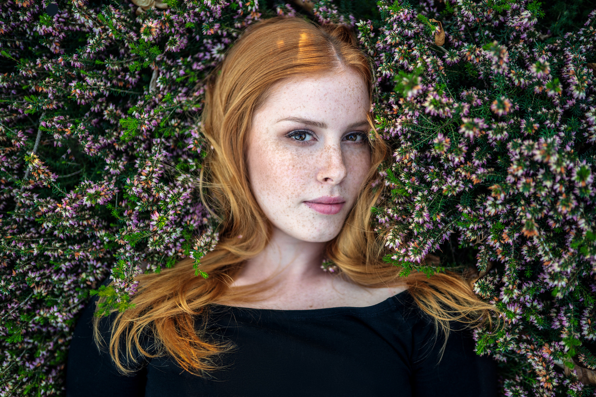 Download Brown Eyes Face Freckles Lying Down Redhead Woman Model Hd Wallpaper