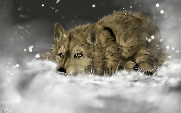 Animal Artistic Painting Wolf Snow HD Wallpaper | Background Image