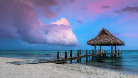  Tropical Beach Pier by Valentin Valkov