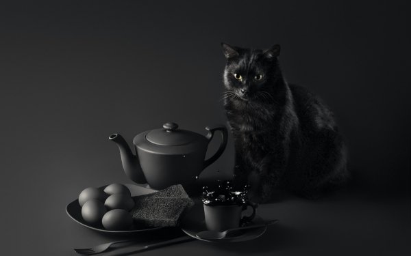 Animal Cat Cats Black & White Teapot Cup HD Wallpaper | Background Image