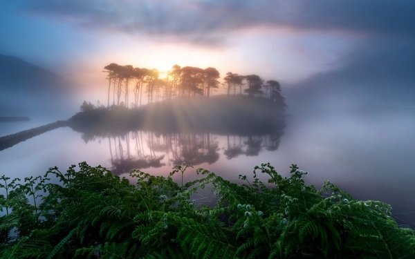 Earth Fog Nature Sunbeam Fern Lake Reflection HD Wallpaper | Background Image