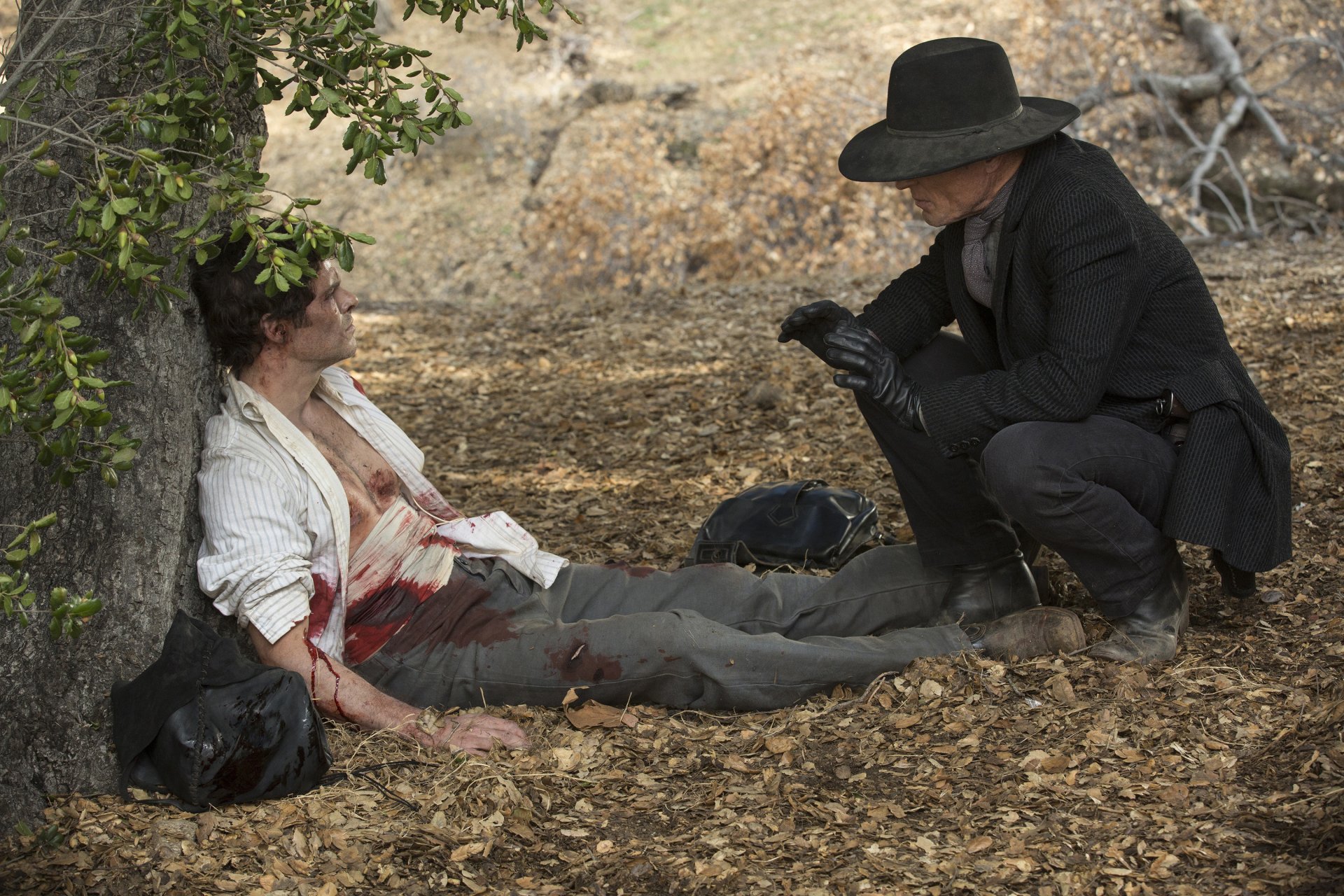 Download TV Show Westworld HD Wallpaper