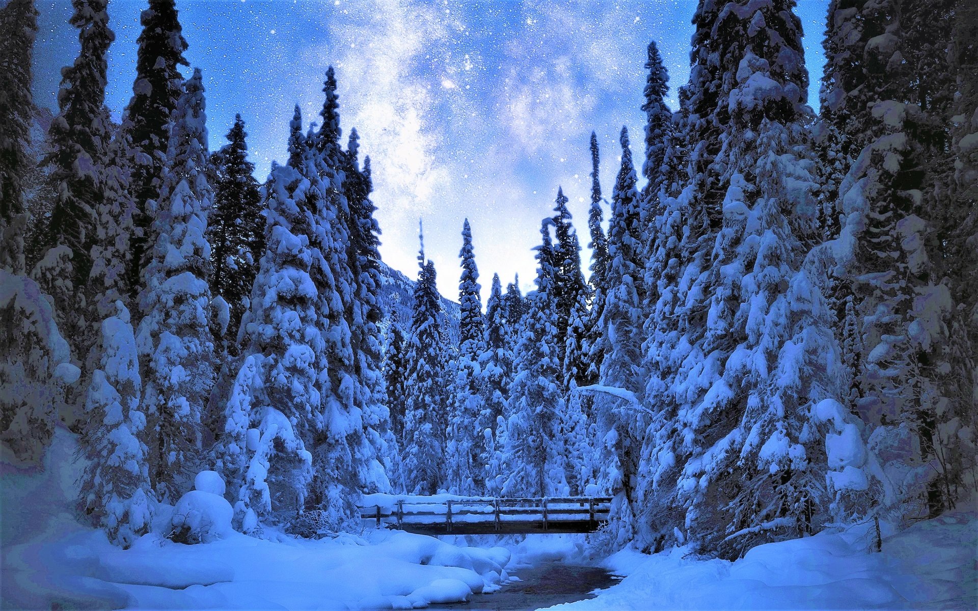 Bridge in Winter Forest