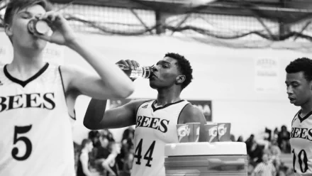 movie Killer Bees HD Desktop Wallpaper | Background Image