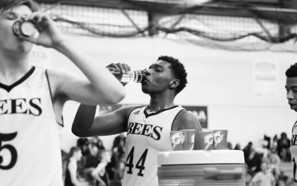 movie Killer Bees HD Desktop Wallpaper | Background Image