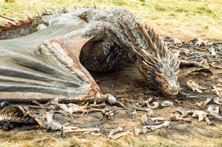 dragon Drogon (Game Of Thrones) TV Show Game Of Thrones HD Desktop Wallpaper | Background Image