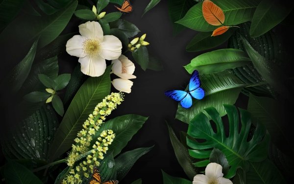 Artistic Butterfly Flower Plant White Flower HD Wallpaper | Background Image