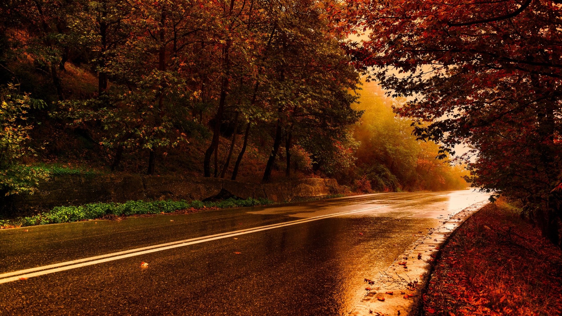 Autumn Serenity: A Man-Made Road in Nature - HD Wallpaper