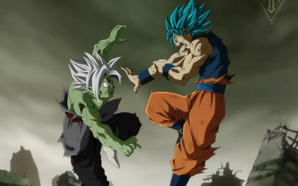 HD PC wallpaper featuring Super Saiyan Blue Goku battling Zamasu from Dragon Ball Super in dynamic anime action.