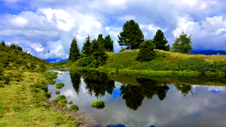 HD desktop wallpaper featuring a serene lake reflecting trees and a grassy hill, under a partly cloudy sky, creating a picturesque nature landscape. Tags: water, tree, grass, reflection, lake, nature, landscape.