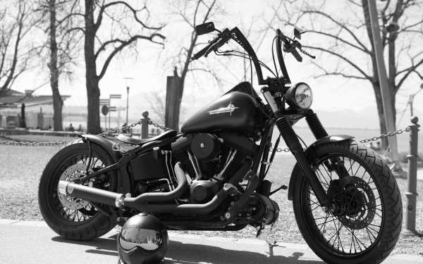 Vehicles Harley-Davidson Motorcycles Motorcycle Black & White Helmet HD Wallpaper | Background Image