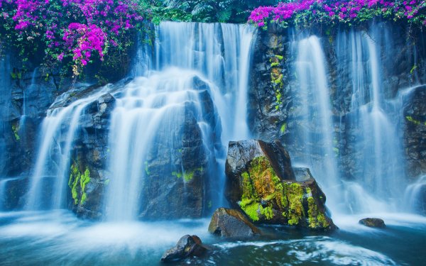 Earth Waterfall Waterfalls Nature Flower HD Wallpaper | Background Image