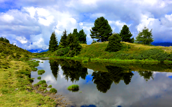 Nature Landscape Lake Reflection Grass Tree Water HD Wallpaper | Background Image