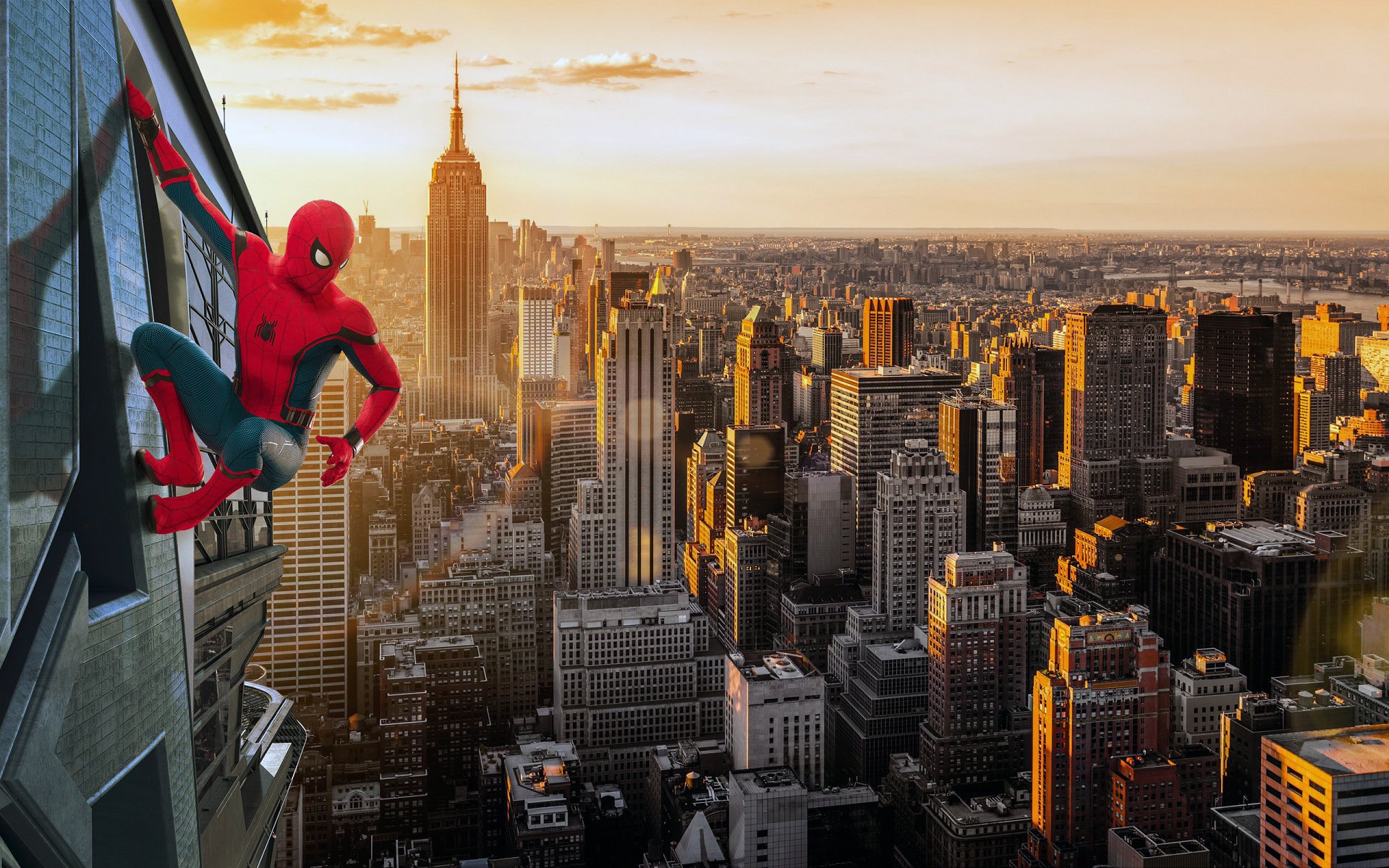  Spider Man  Homecoming HD Wallpaper  Background Image 