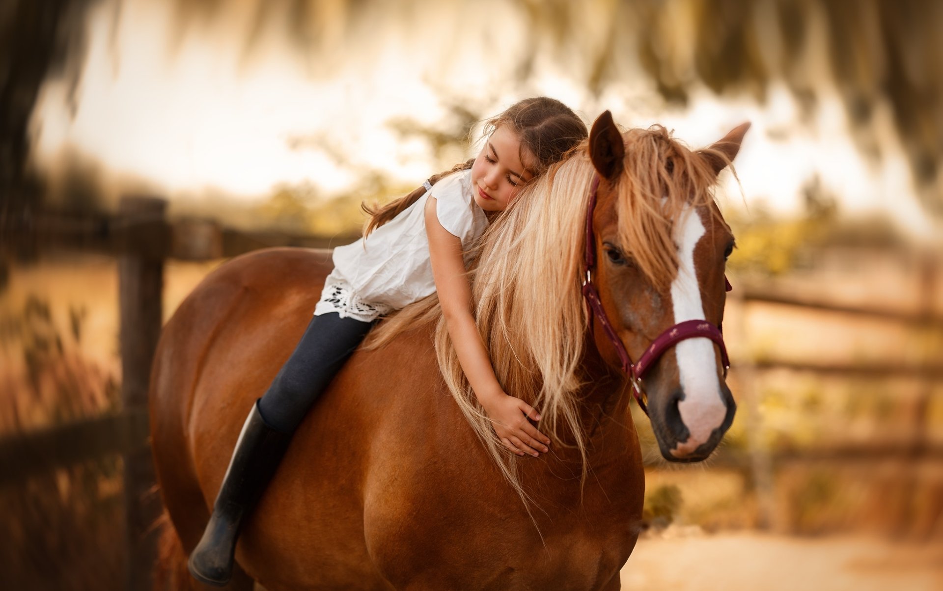 Download Depth Of Field Horse Little Girl Photography Child HD Wallpaper